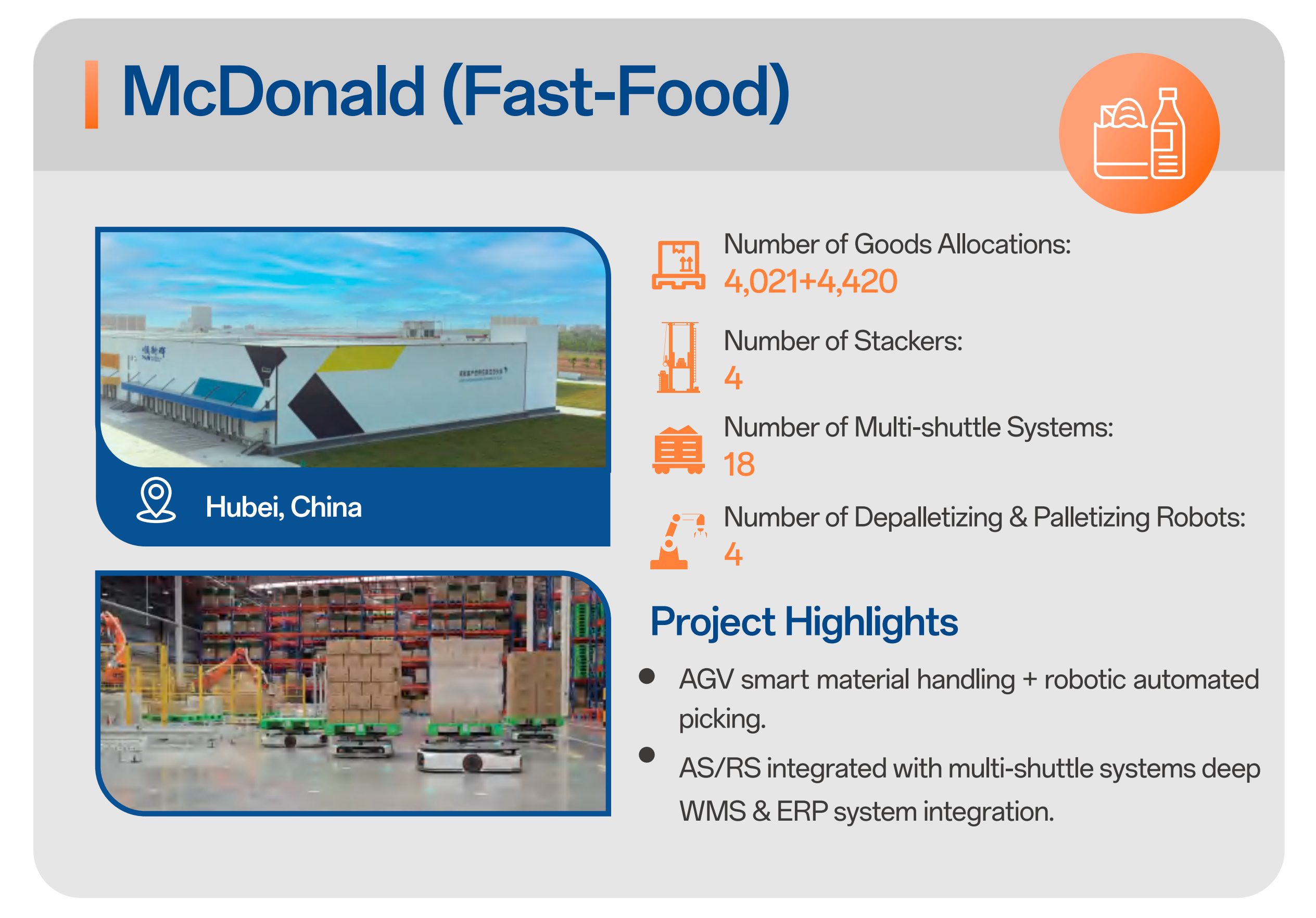 ASRS Warehouse System Detail 1