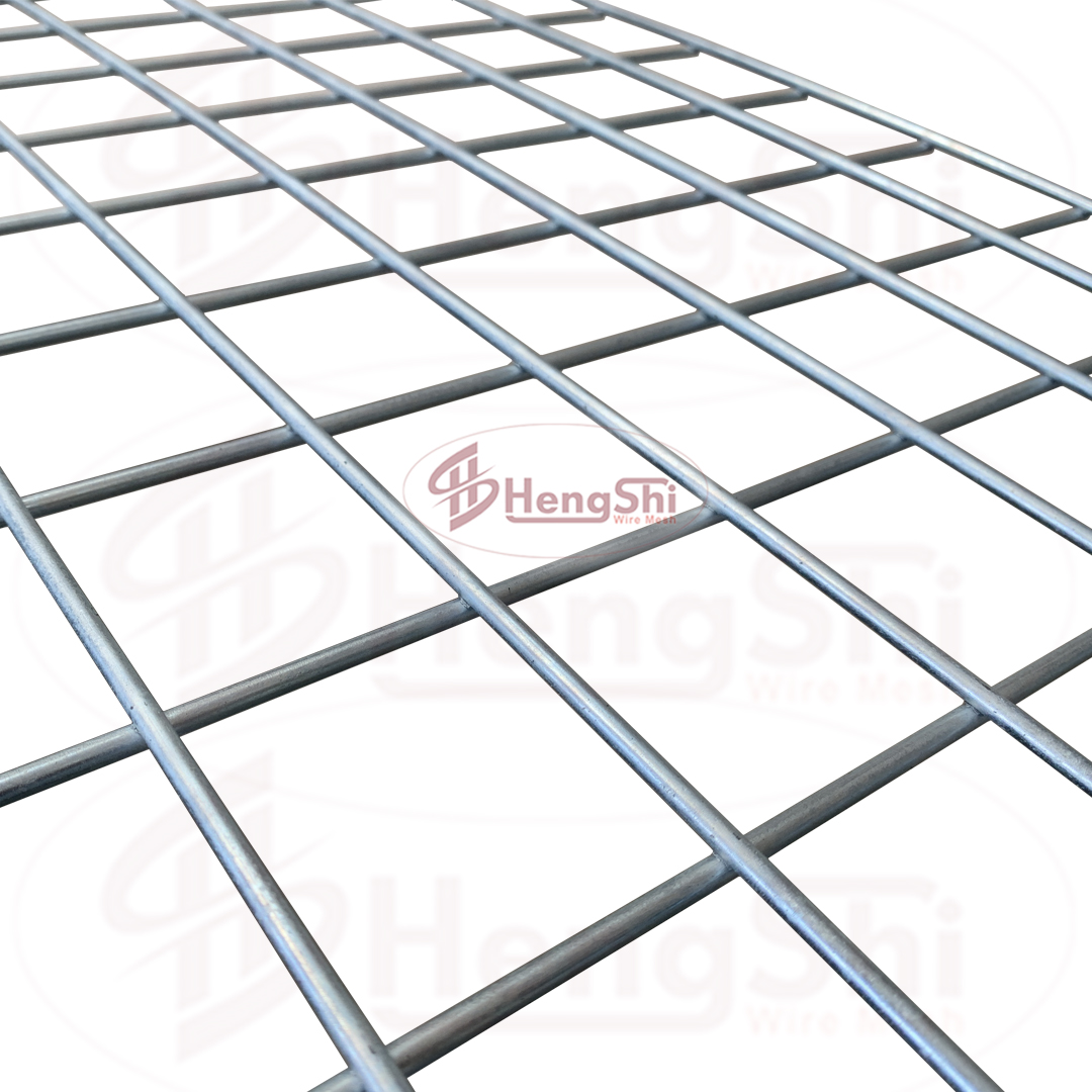 100x 100mm Galvanized Welded Wire Mesh Panel/Steel Reinforcing And Steel Mesh