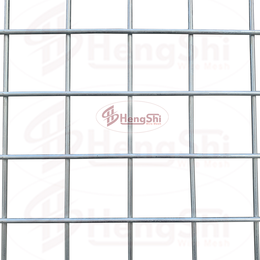100x 100mm Galvanized Welded Wire Mesh Panel/Steel Reinforcing And Steel Mesh